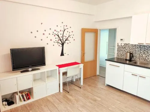 Apartment Zizkov - Image 1