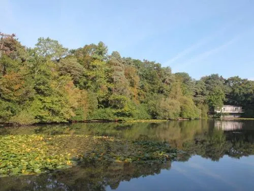 Kings Lodge - Image 1