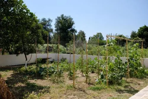Villa Xampelo - Image 1