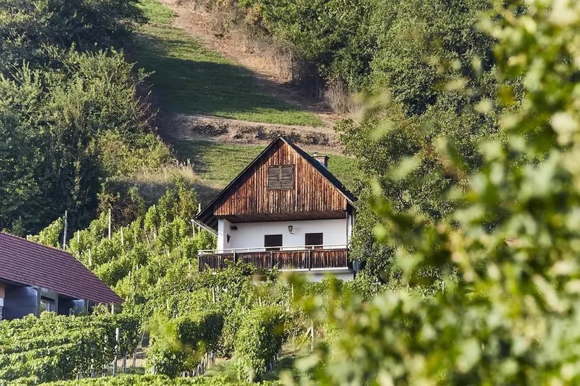 Weinberg Lodge - Kellerstöckl - Image 1