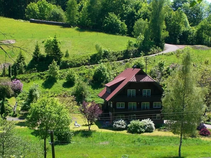Cozy Apartment in Bad Rippoldsau-schapbach With a View - Image 1