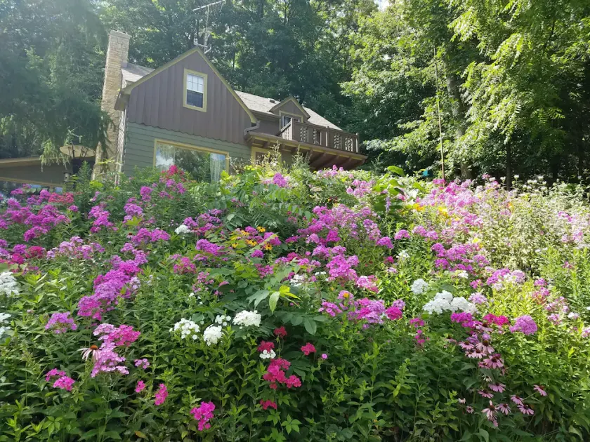 Contented Cottage Bed And Breakfast - Image 1
