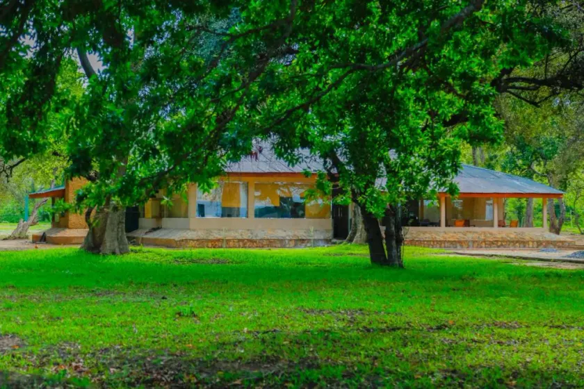 Yala Crocodile Park - Image 1