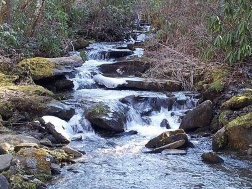 Creekside Paradise - Image 1