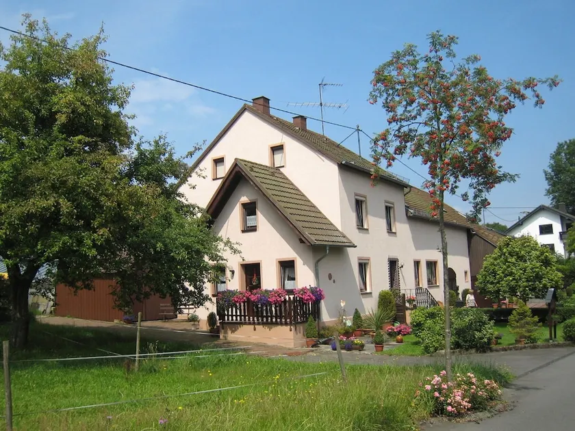 Spacious Apartment in Deudesfeld With Garden - Image 1