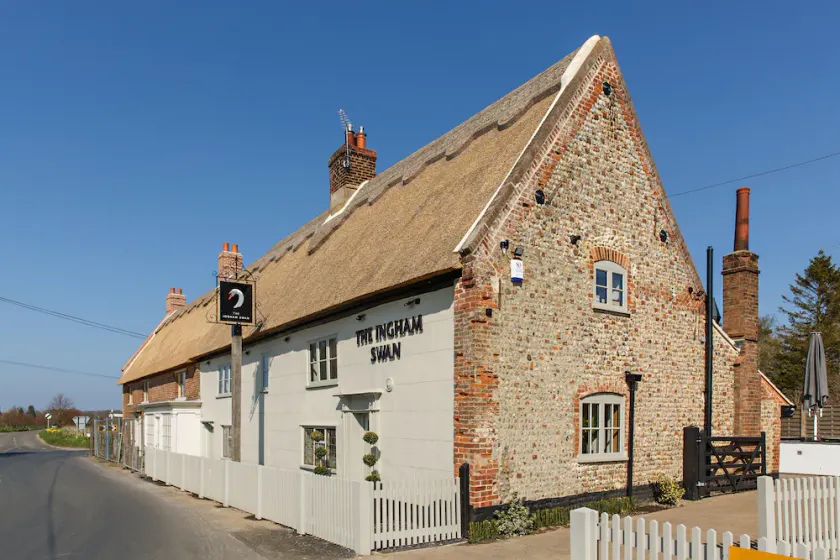 The Ingham Swan - Image 1