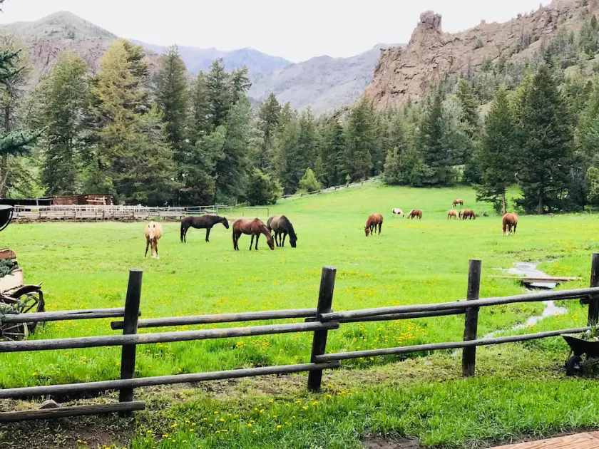 The Historic Uxu Ranch - All Inclusive - Image 1