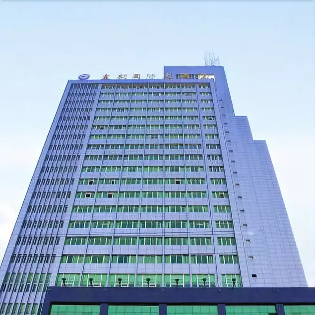 Royal Dynasty International Hotel (Guanshanhu Park Guanshan West Road Metro Station Branch) - Image 1
