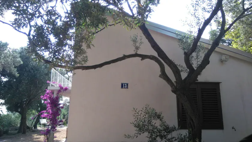 House Zlatko - Image 1