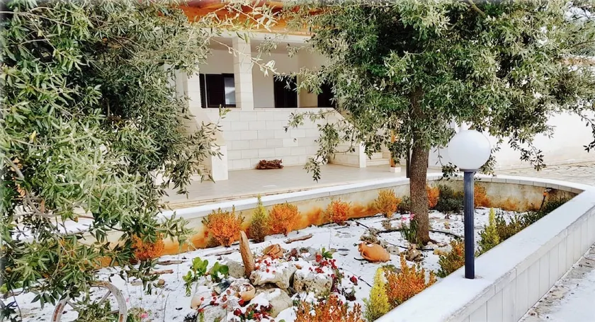 Villa Wonder - Image 1