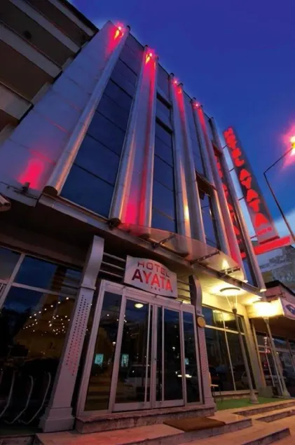 Ayata Hotel - Image 1