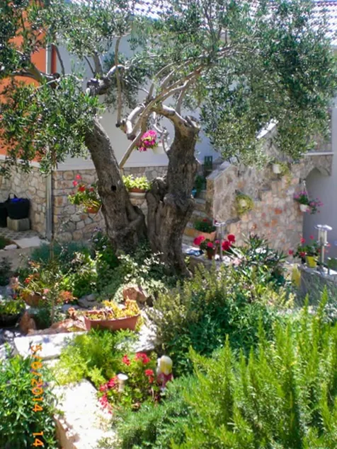 2 bedrooms house with sea view furnished terrace and wifi at Vinisce - Image 1