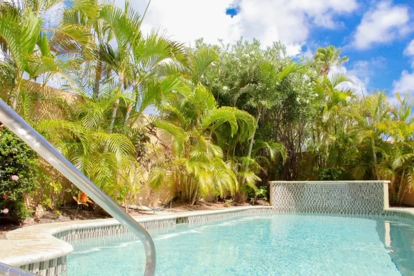 Paradise Found - Image 1