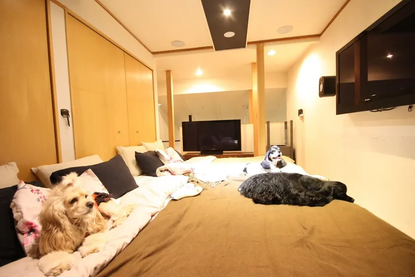 Sapporo Dome Front House - Image 1