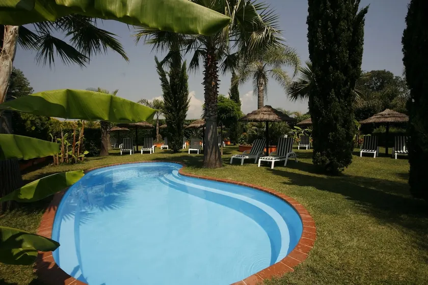 Leucosya - Image 1
