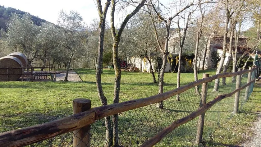 Charming 4-bed Cottage 15 Minutes From Florence - Image 1