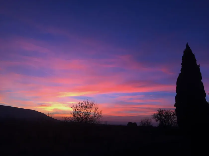 Zocalo Ranch - Image 1