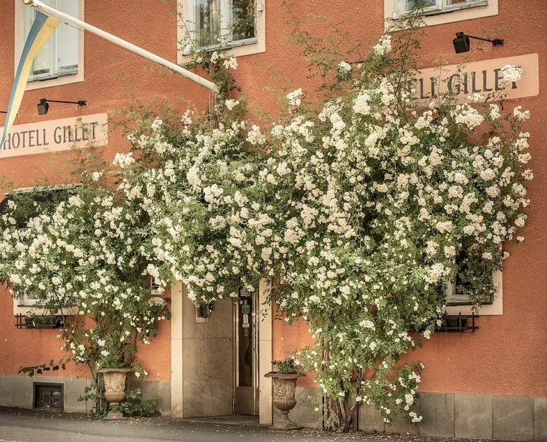 Hotell Gillet - Image 1