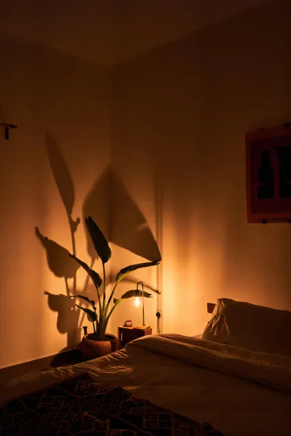 Cozy Stays - Image 1