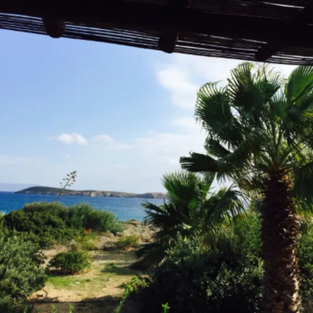 House With 2 Rooms in Drios, With Wonderful sea View, Furnished Garden - Image 1