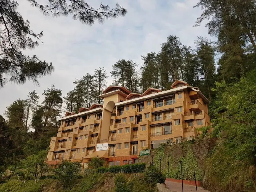 THE NALDEHRA - Image 1