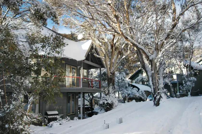 Milkwood - Image 1