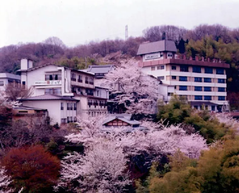 Shigisan Kanko Hotel - Image 1