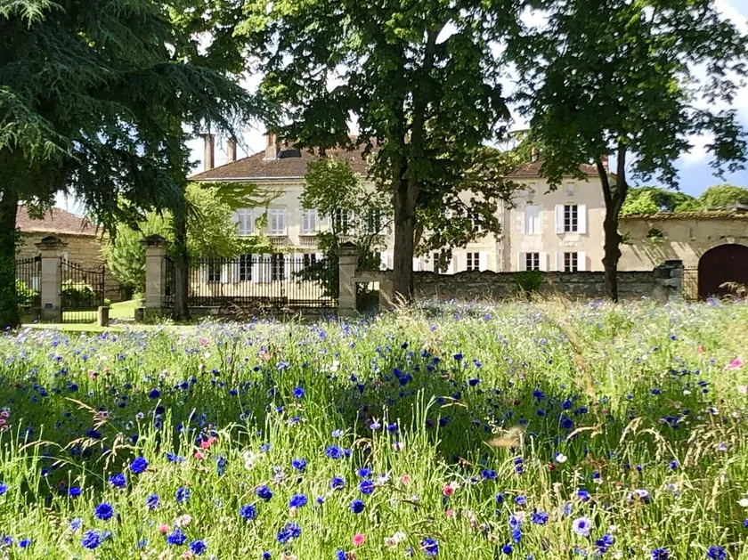 Château Rouge 47 - Image 1