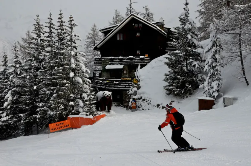 Chalet Il Capricorno - Image 1