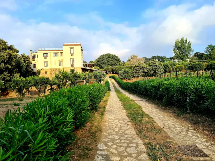 Tenuta Convivium Cuma - Image 1