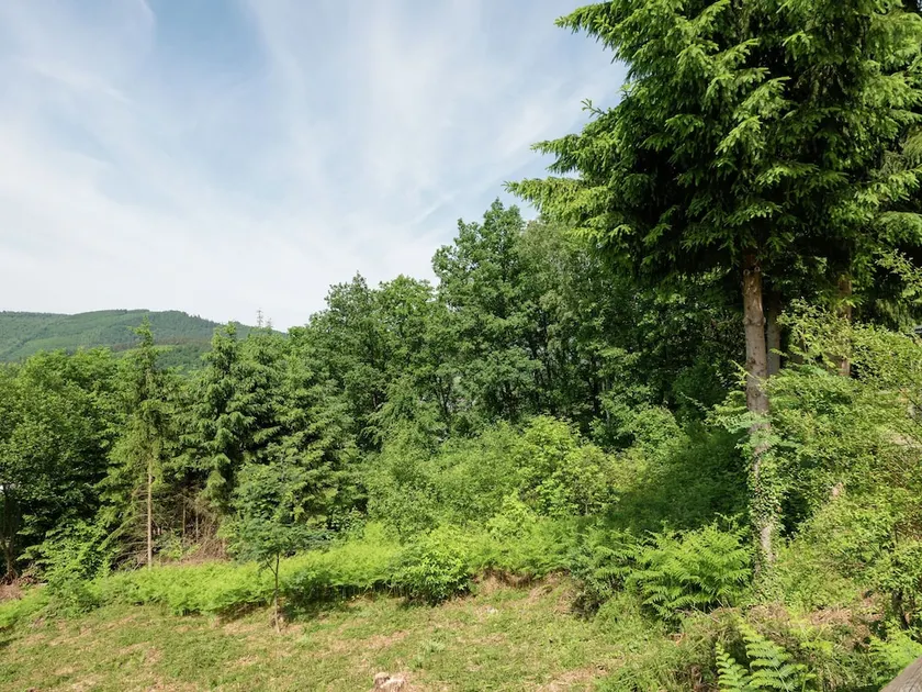Modern Holiday Home in Stavelot With Stunning Views - Image 1