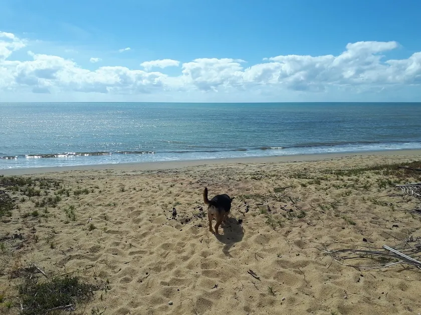 La Casa De Playa - Image 1