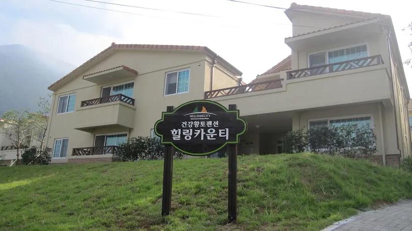 Healing County - Image 1