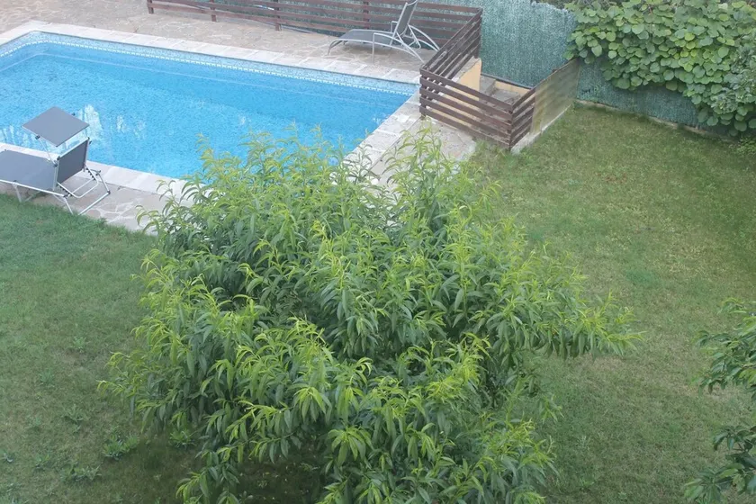 Apartment With in Olivella With Wonderful Mountain View P - Image 1