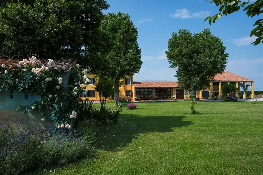 Antica Vigna - Image 1