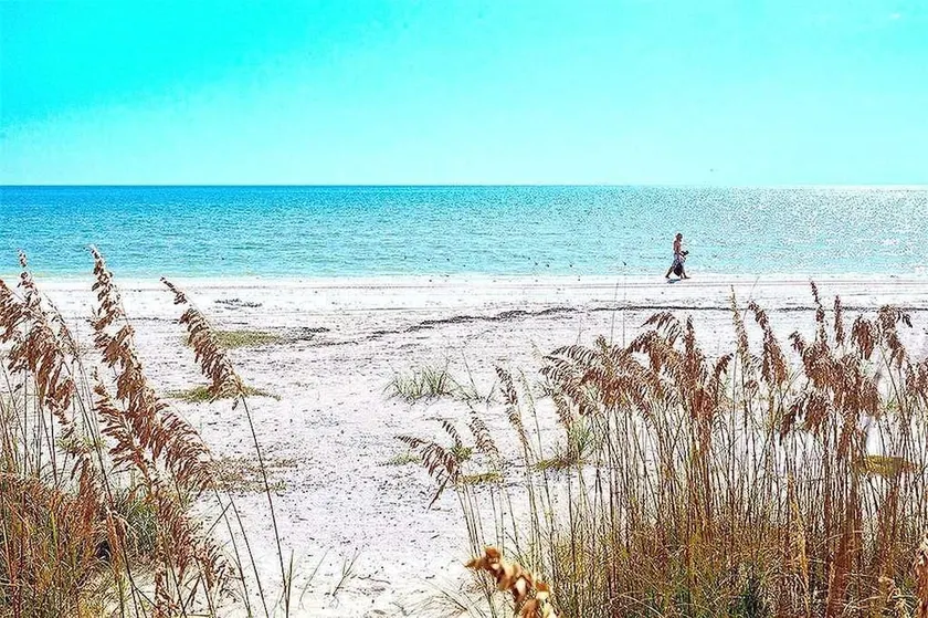 Estero Beach & Tennis 1206A, 1 Bedroom, Sleeps 4, Heated Pool, Elevator - Image 1