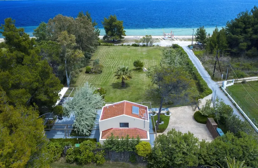 Palm Garden - Image 1