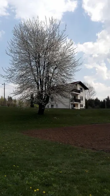 Plitvice House - Image 1