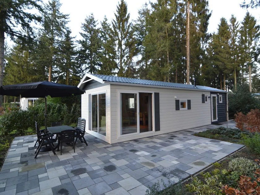 Modern Holiday Home in Vorden Amidst Forest - Image 1