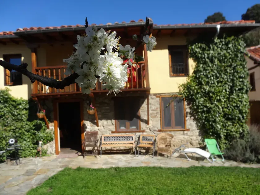 La Perezosa & Yoga Hostel - Image 1