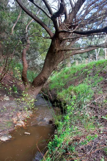 Longwood Retreat - Image 1
