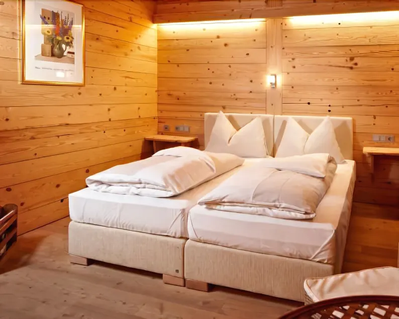 Art & Ski-in Hotel Hinterhag - Image 1