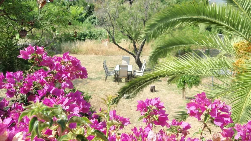 Toro Apartment - Image 1
