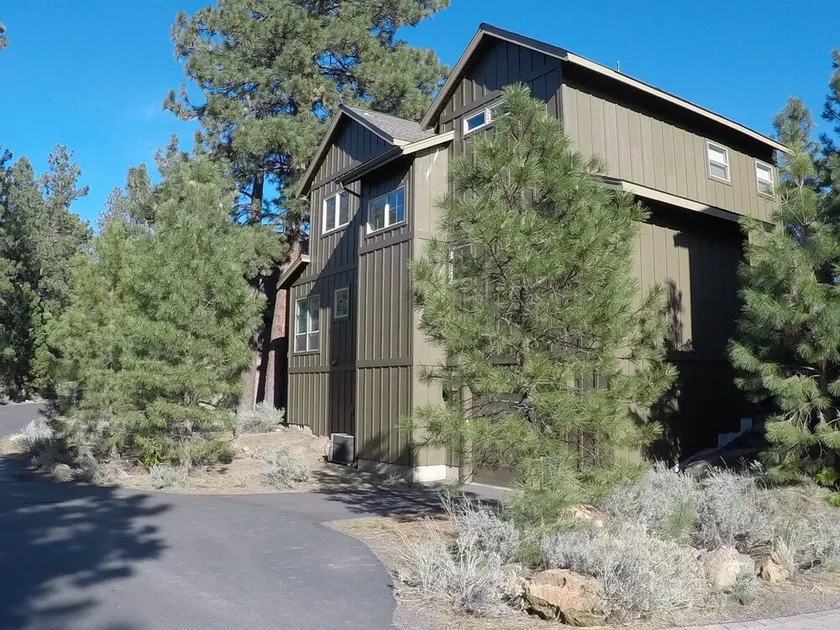 Big Pine - Image 1