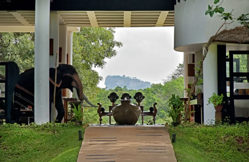 Elephant Corridor - Image 1