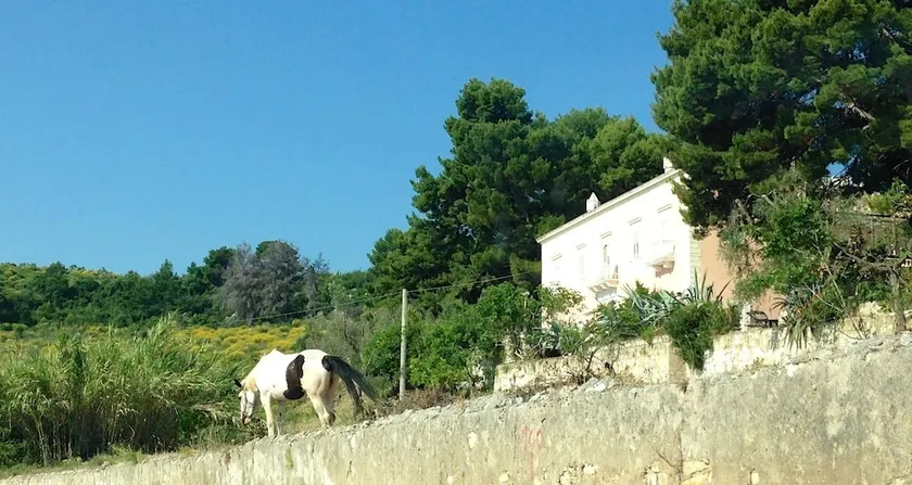 Valle della Corte - Image 1
