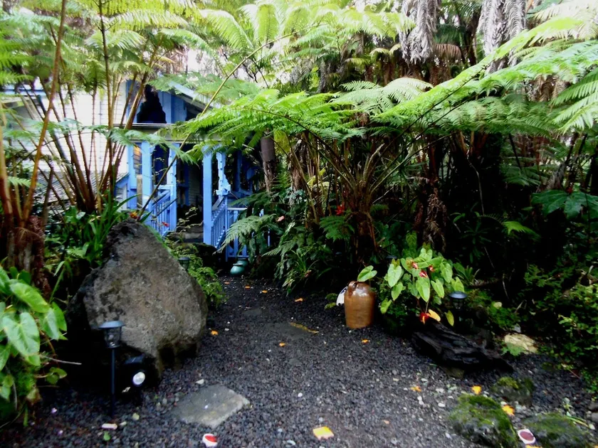 Upcountry Volcano Mountain Cottage - Image 1