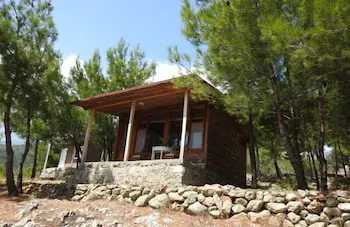 Ida Bay Bungalows - Image 1