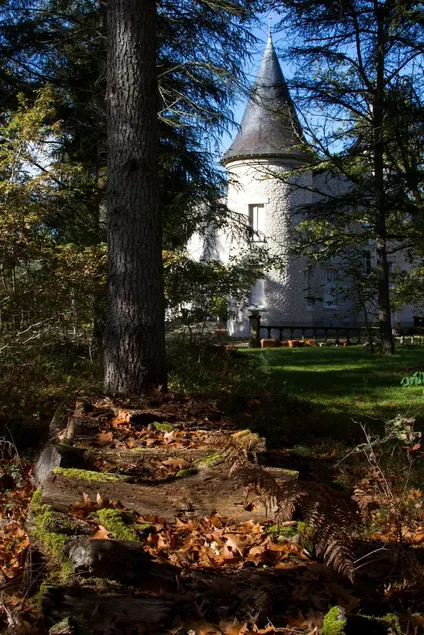 Chateau Du Bas Boulay - Image 1