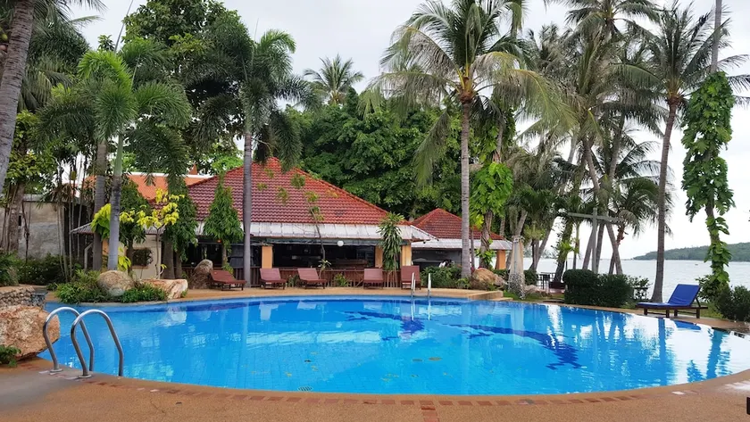 Palm Island - Image 1